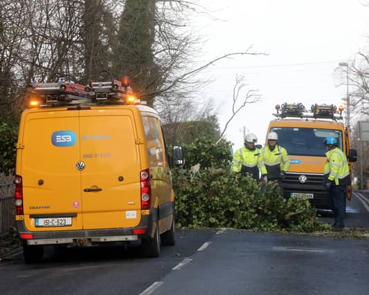 ESB Networks personnel clearing fallen trees in Limerick | PICTURES: Brendan Gleeson