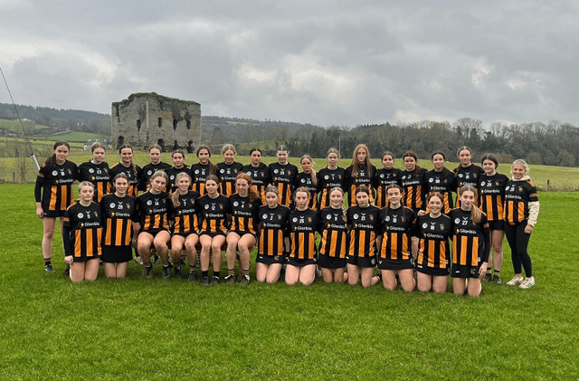 Kilkenny Under 16 Team