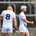 Brian Duignan and Offaly after beating Kildare
