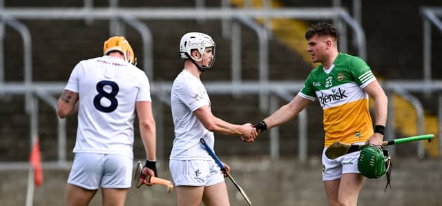 Brian Duignan and Offaly after beating Kildare