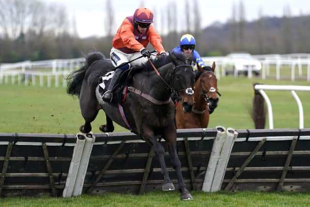 It is an important day for Harry Fry’s Gidleigh Park, who looks built for fences but suffered from a fibrillating heart on his chasing debut at Kempton.