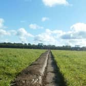The watch was discovered by a Kilkenny farmer
