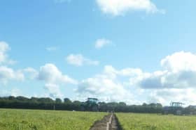 The watch was discovered by a Kilkenny farmer