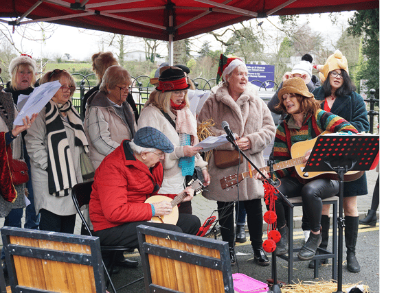 Wran Singing for Church Defibrillator