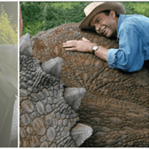 The stegosaurus at Jurassic Newpark in Kilkenny was knocked over by Storm Darragh PICTURE: Jurassic Newpark, Kilkenny