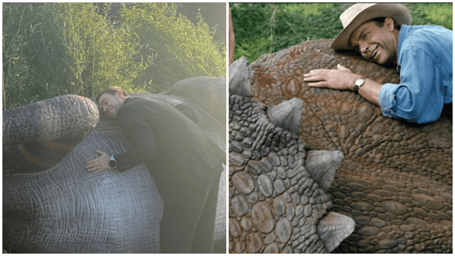 The stegosaurus at Jurassic Newpark in Kilkenny was knocked over by Storm Darragh PICTURE: Jurassic Newpark, Kilkenny