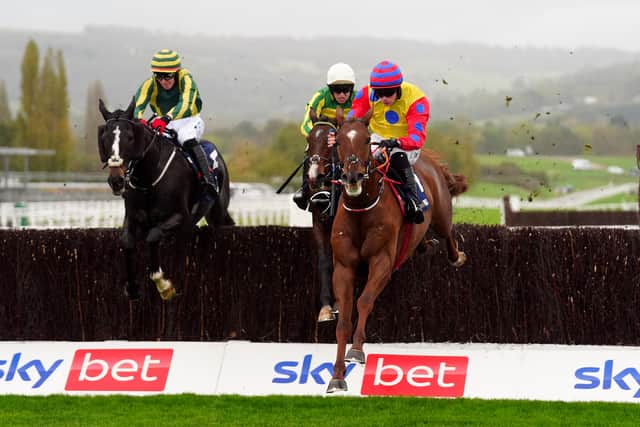 “I’ve told the owners this horse has been the apple of my eye for a while – everything he does at home pleases dad and I a lot. I promise you we haven’t seen anywhere near the best of him yet.”