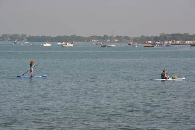 The researchers’ findings, published in the journal Chemosphere, revealed concentrations of PFAs increased significantly after sewage discharges in the harbour.