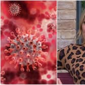 WATCH: Kathryn Thomas on daughter's rush to hospital over deadly virus that's like cold