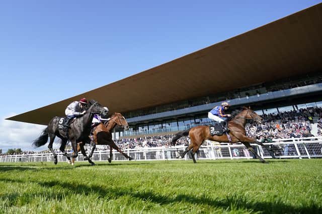 “Dylan is going to ride her again, he has ridden her the last two starts and is riding very well. He knows her and was available and we’re very happy to use him,” said Sangster.