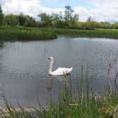Cabragh Wetlands is a wonderful amenity in Thurles