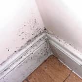 An example of mould in a damp building.