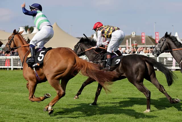 “It’s slim pickings through the week but it’s nice to have a few Saturday horses to cling to, and it’s even nicer when they are winning!”