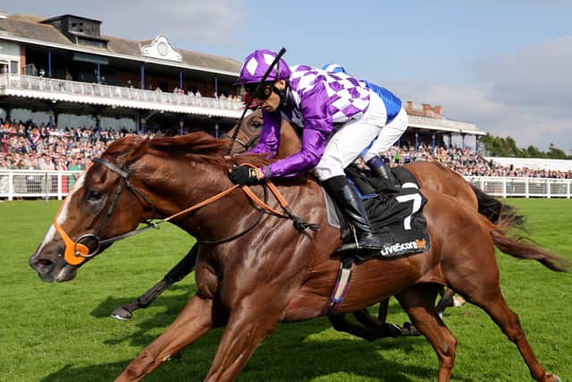 “Not many win six on the bounce. We really liked her at two but she had complications, so it’s testament to Craig and the team that they are now reaping the rewards.”