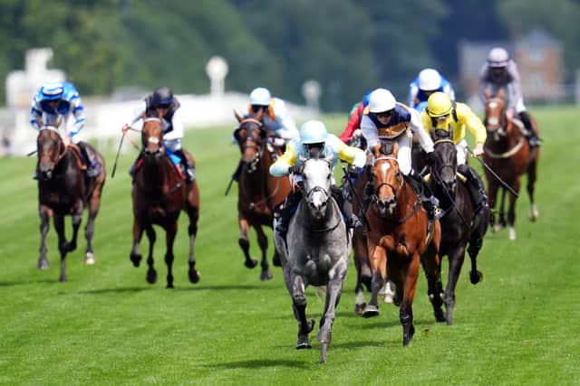 Tribalist stuns Moulin big guns with all-the-way success