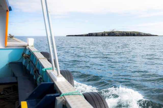 Thomas Hendry, an area ranger for the Farne Islands, called the initial numbers “concerning”.
