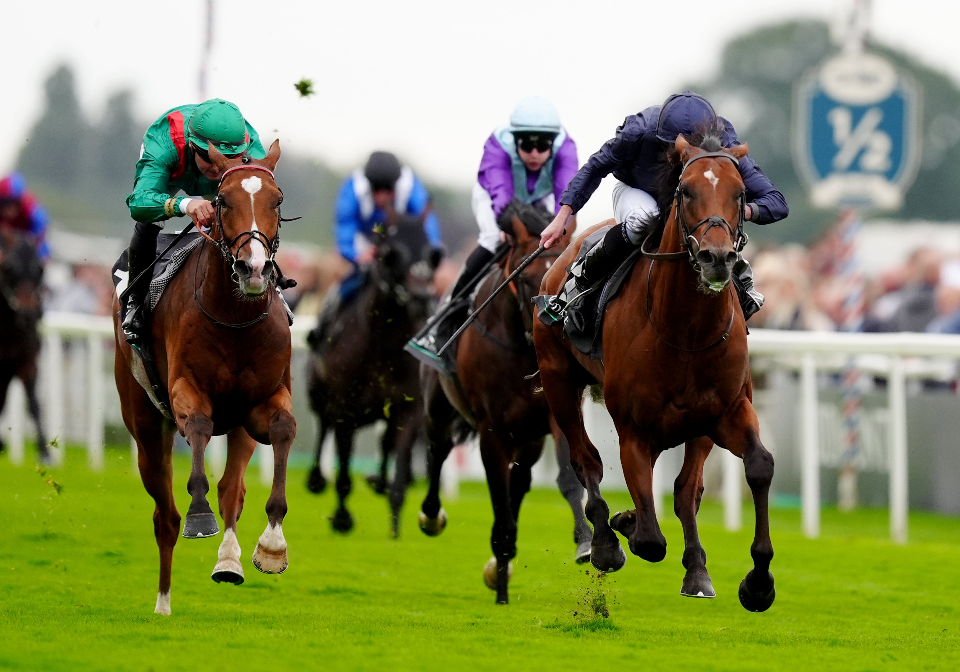 Champion Stakes high on the list of targets for Calandagan