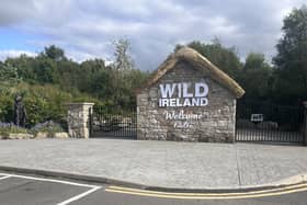 Wild Ireland entrance