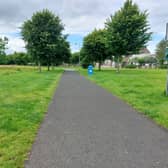 Monread Park, Naas
