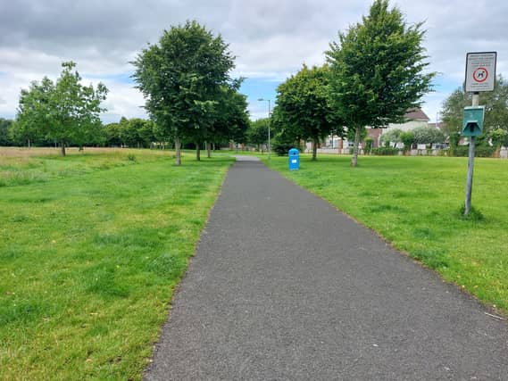 Monread Park, Naas