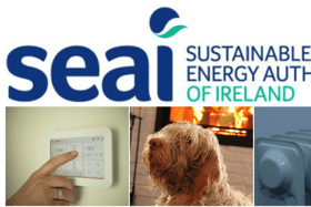 SEAI online event for county Longford businesses and community organisations