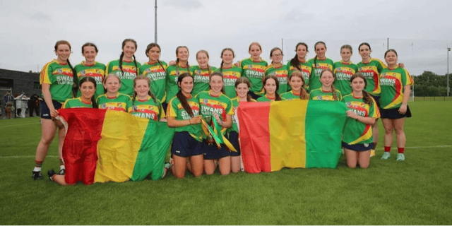 Carlow 4-07 : Down 1-10
