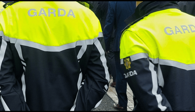 Garda Armed Response Unit rock up to Irish wedding as video circulates online