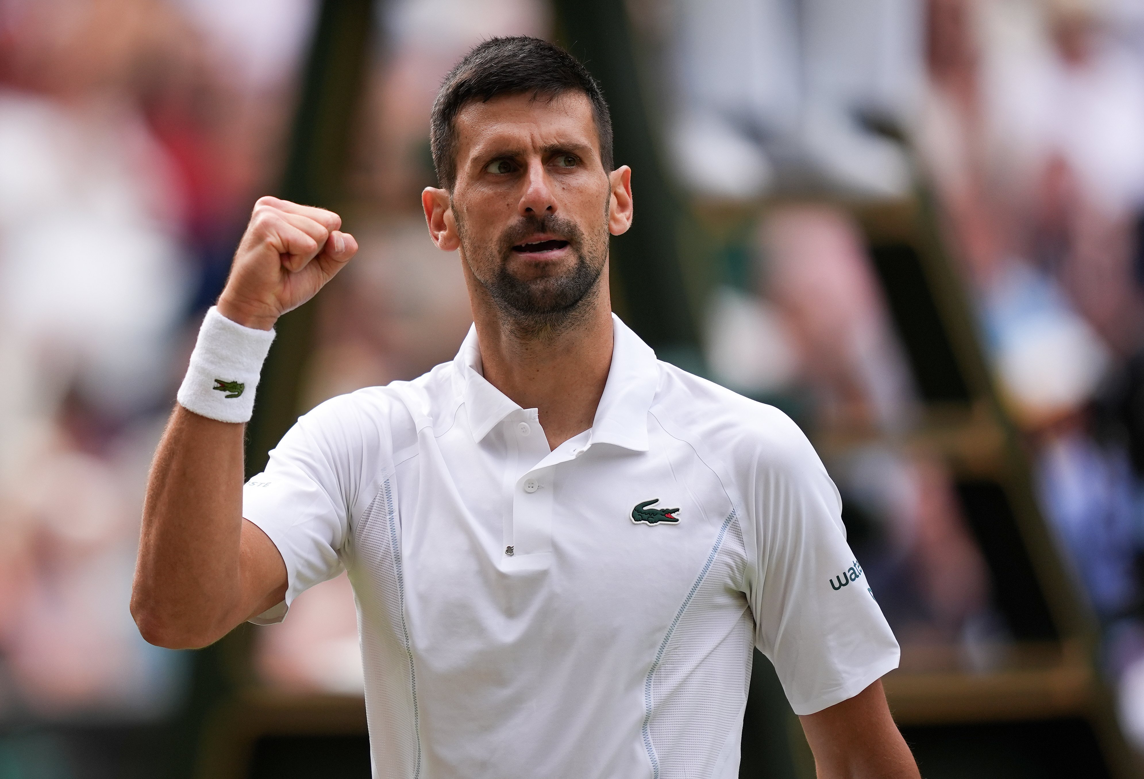 Novak Djokovic eases past Lorenzo Musetti to set up Carlos Alcaraz ...