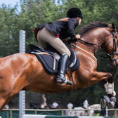 Also on stage will be the current Irish and English Jump Racing Champion Trainer Willie Mullins
