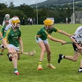 Kevin Lynch's performed well in Wexford.