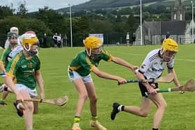 Kevin Lynch's performed well in Wexford.