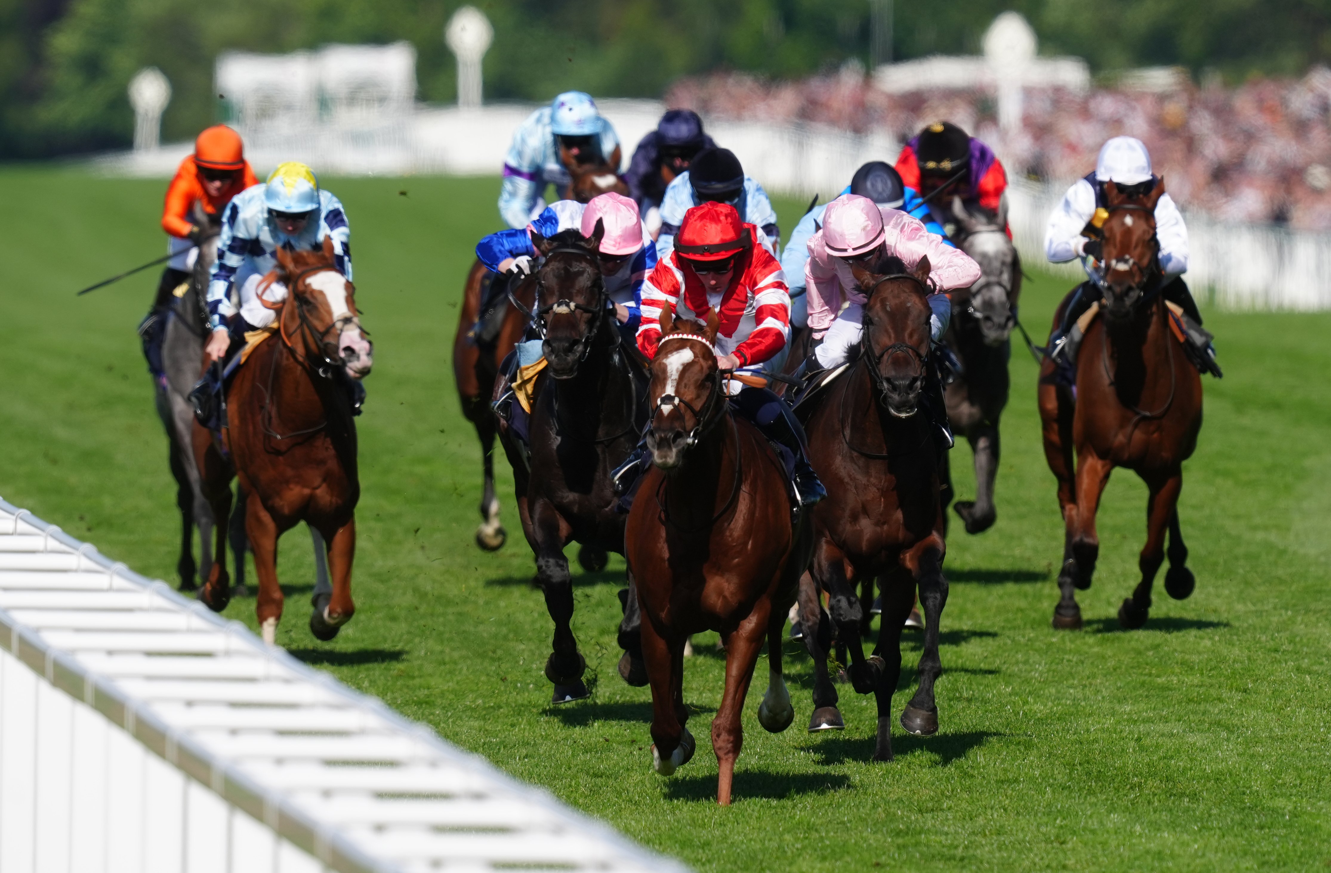 BBC Radio 4’s Today programme scraps daily horse racing betting tips