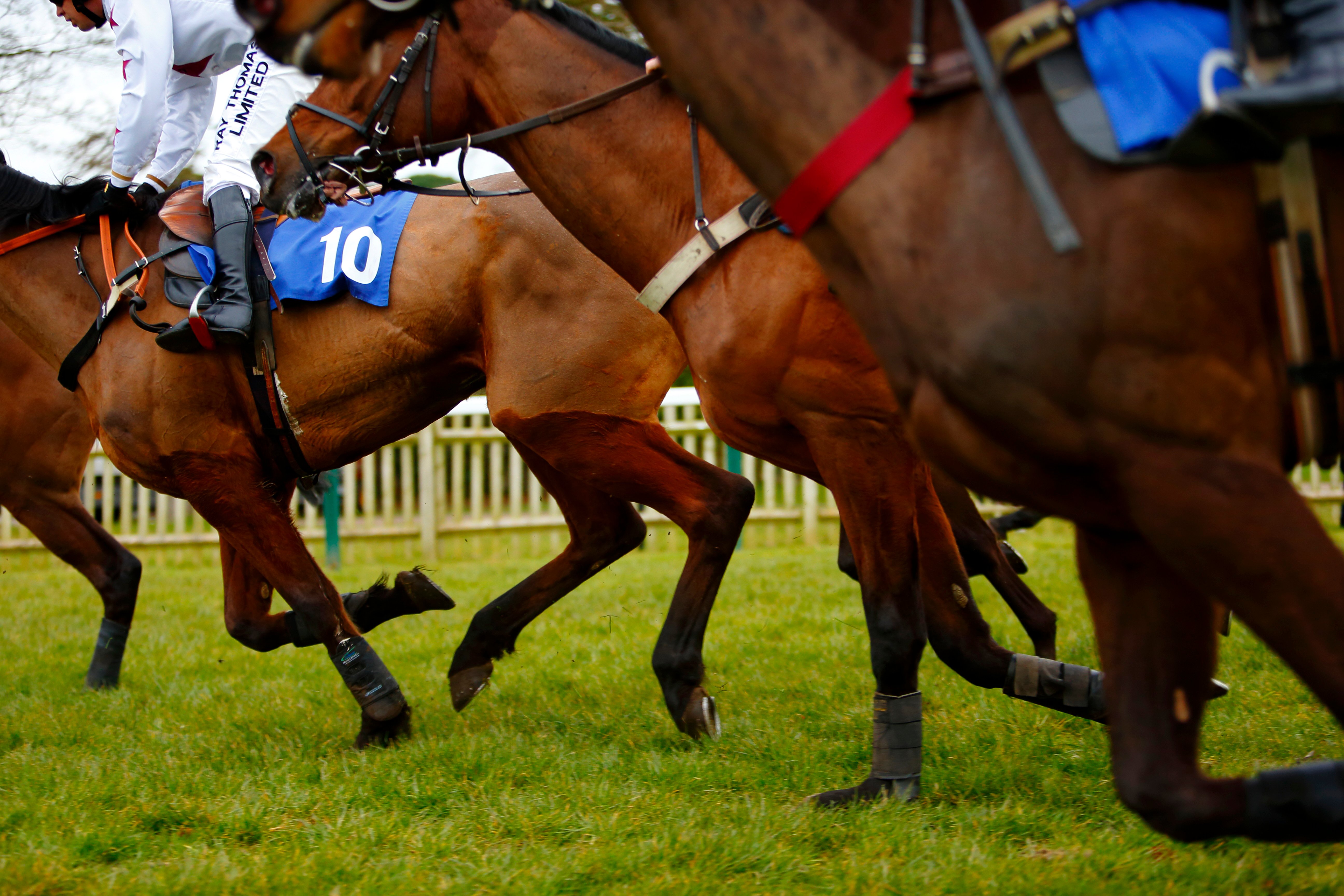 BBC Radio 4 drop daily racing tips