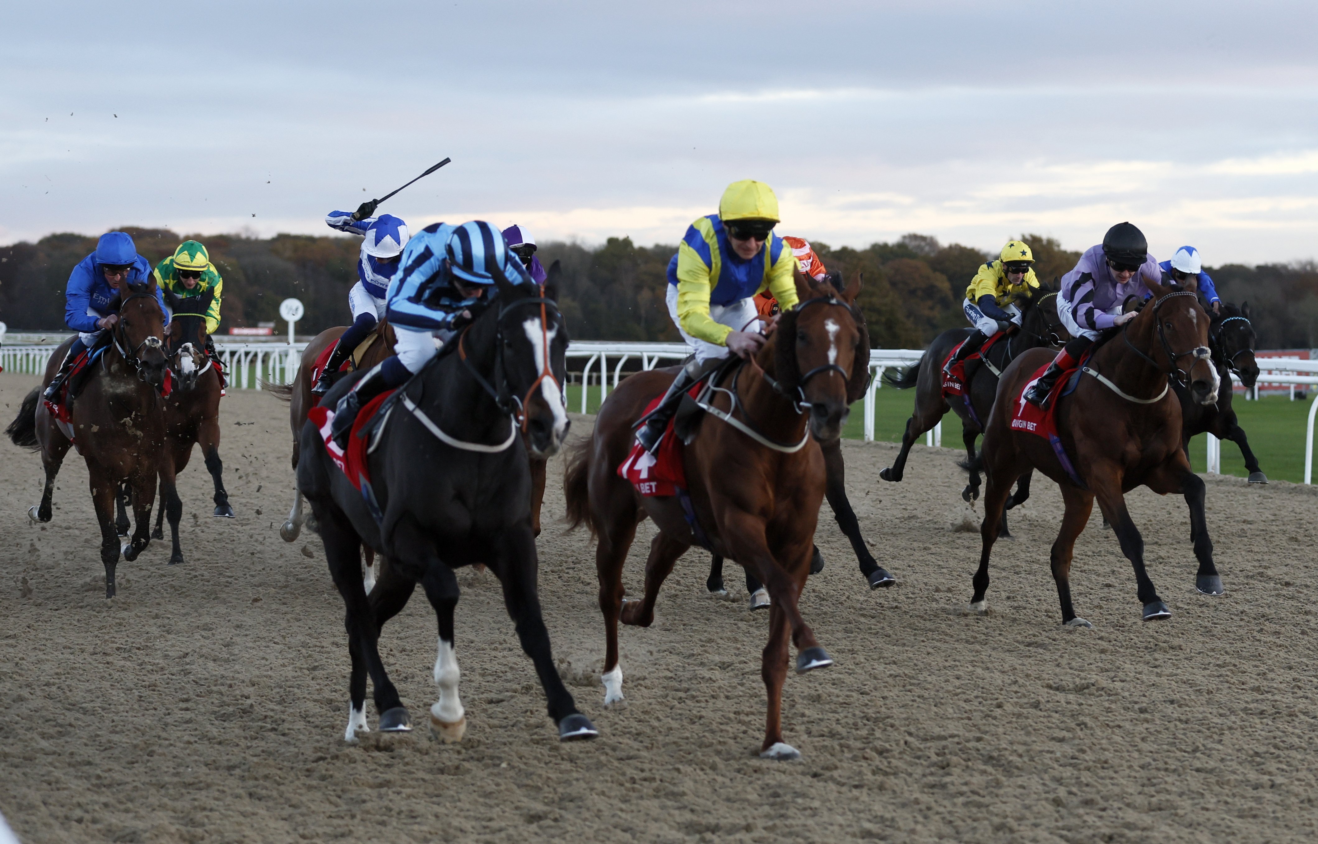Ellison planning dual challenge for Northumberland Plate