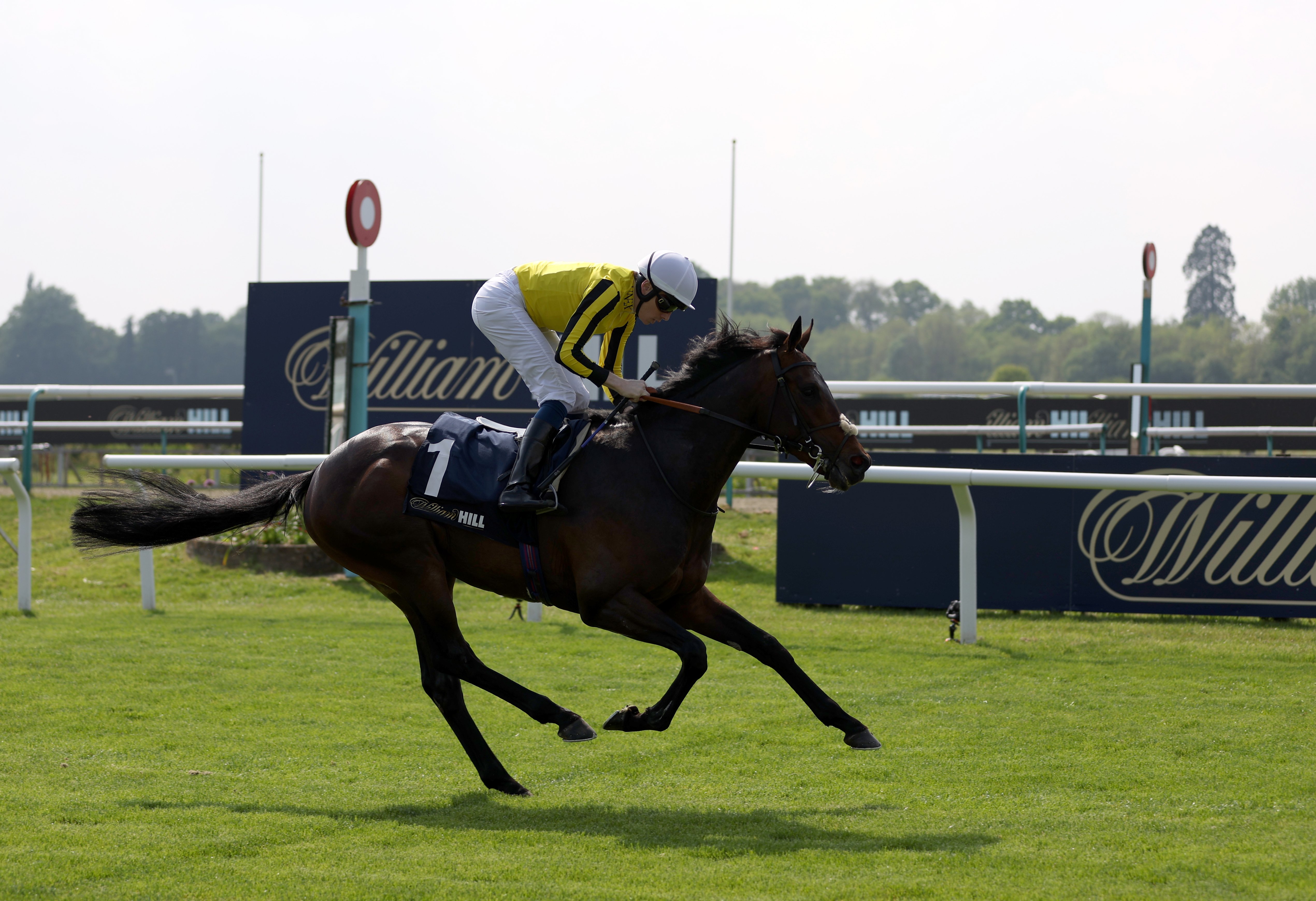 Ambiente Friendly in fine form ahead of Irish Derby date