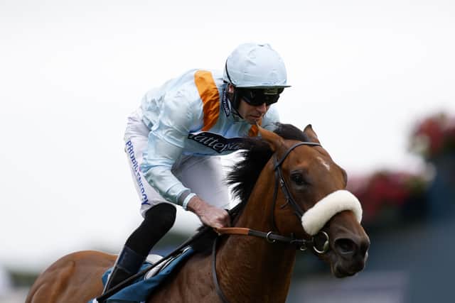 Bought for 65,000 guineas, he was sent to trainer Kevin Ryan and found his feet at home before debuting in the Reg Griffin Appreciation ebfstallions.com Maiden Stakes at York earlier this month.