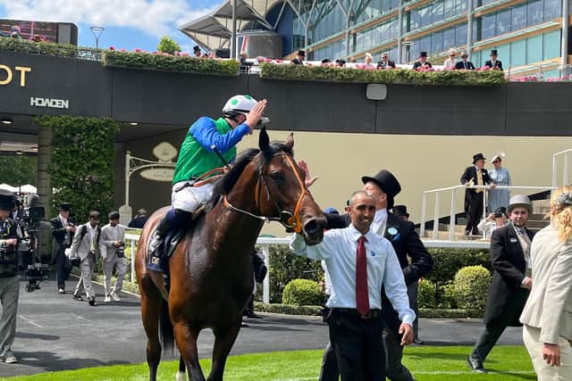 Under the guidance of teenager Billy Loughnane, Rashabar led a group of eight on the far rail, bursting ahead inside the final furlong and stretching his advantage to over a length as he looked to have a clear route to the finishing line.