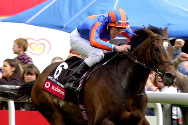 High Chaparral (6)