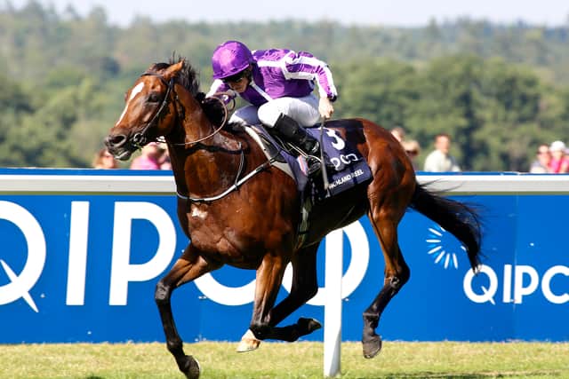 Highland Reel (7)