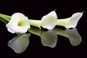 Donegal death and funeral notices, June 12, 2024