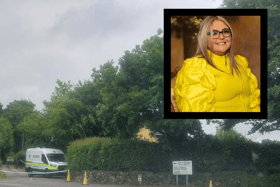 The scene of the fatal dog attack on Nicole Morey (insert) in Ballyneety I PICTURE: Brendan Gleeson