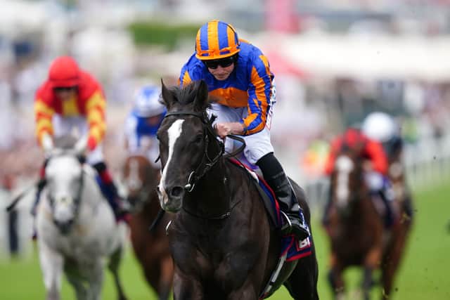 That the son of American Triple Crown winner Justify ran such a lacklustre race at Newmarket was a real headscratcher. But, just like last year, the confidence emanating from Ballydoyle has been hard to ignore and he must surely rate a different proposition on Saturday.