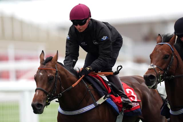 “It’s going to be my first time there, it’s going to be something different. We’ll have a good walk of the track and try to figure it out, he’s going to be my first so I’ll have to give it my best shot.”