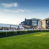 Naas Racecourse (File Photo)