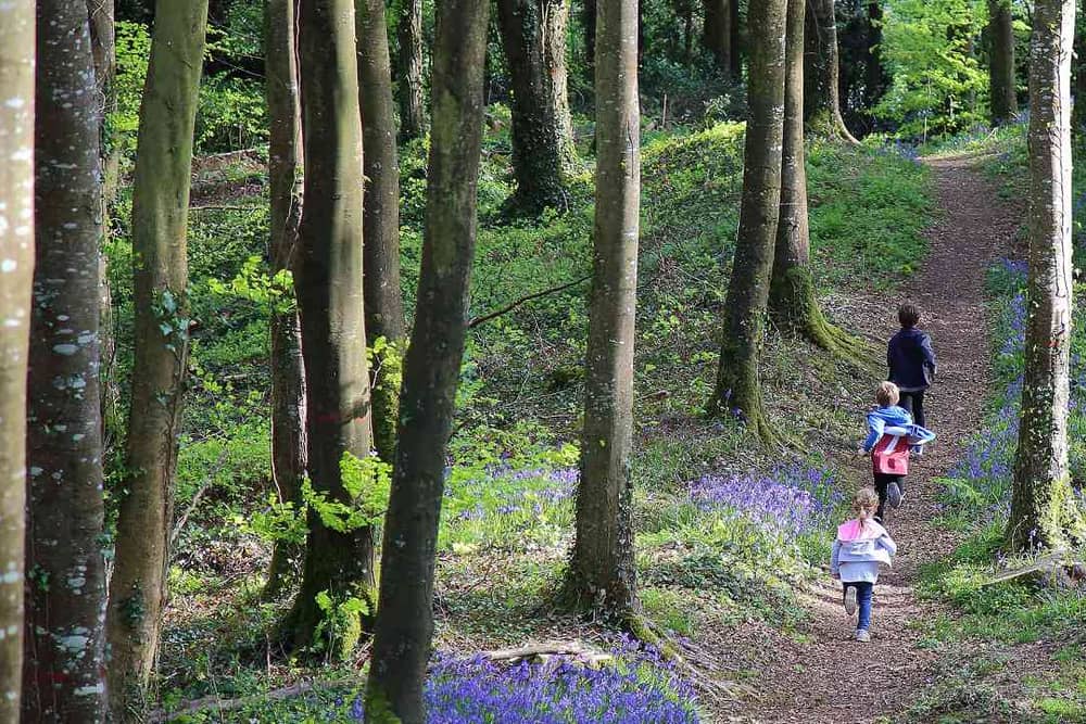 The Slieve Bloom Walking Festival returns to Laois this May Bank Holiday weekend. Photo: Slieve Bloom Walking Festival
