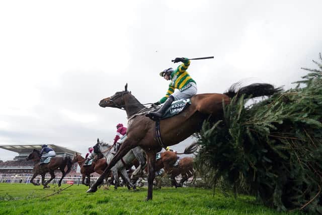 An impressive tune-up in the Bobbyjo Chase saw punters latch onto the Grade One-winning eight-year-old and Paul Townend rode the 7-1 market leader with supreme confidence down the inner as I Am Maximus showed no sign of previous jumping frailties.