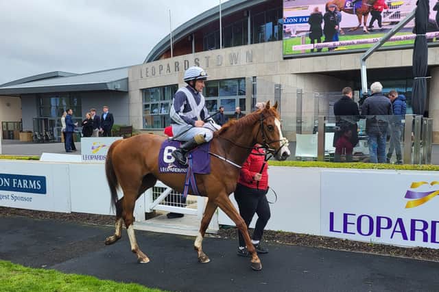 “Next time you’ll see a different horse, I’d imagine, but it was still a lovely run and he was very happy with him.”