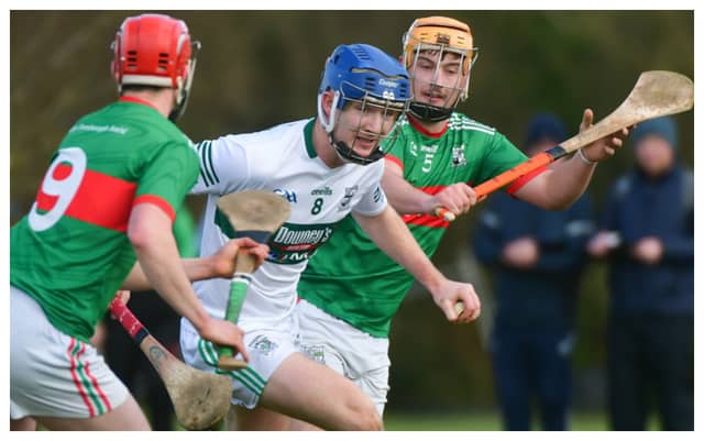 Picture Credit: Denis Byrne