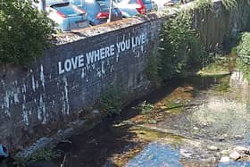 Portlaoise Tidy Towns initiative on the River Triogue