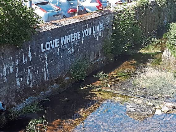 Portlaoise Tidy Towns initiative on the River Triogue